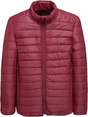 BIFUTON Winter Jackets for Men Lightweight Puffer Jacket Zip Up Quilted Jackets Stand Up Collar Solid Down Coat Jacket Tops