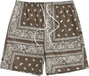Mens Summer Drawstring Paisley Cooling Shorts Graphic Printed Hawaiian Boho Beach Streetwear Shorts for Men